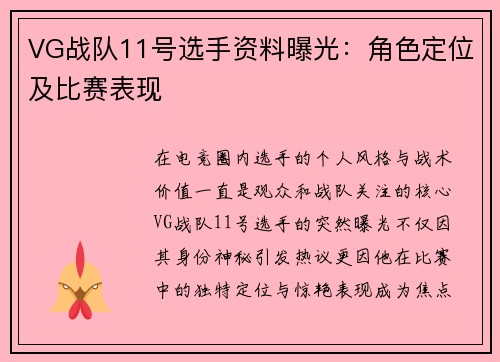 VG战队11号选手资料曝光：角色定位及比赛表现